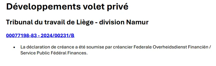 Schermafbeelding JustRestart — slide 10